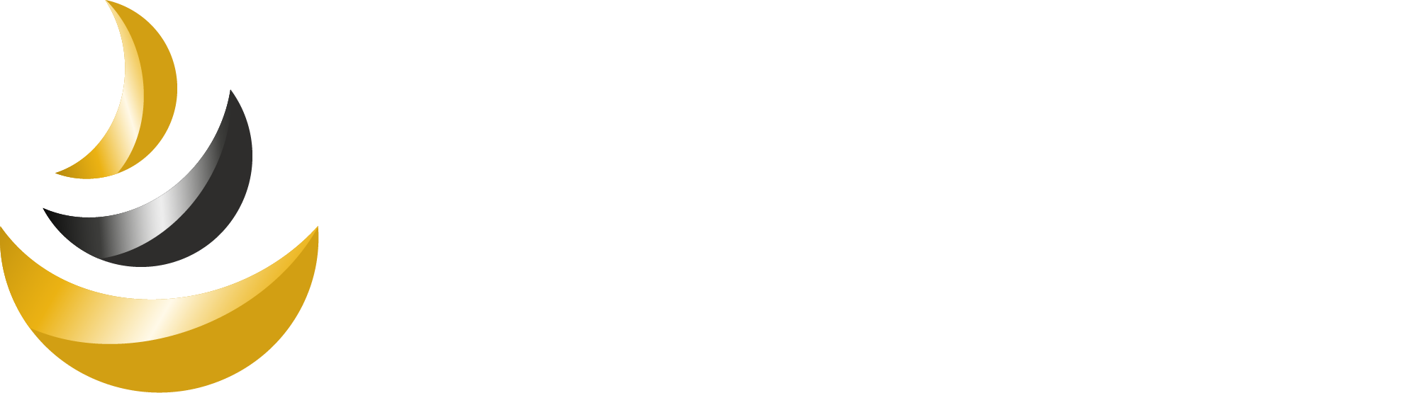 Noble Metal Factory